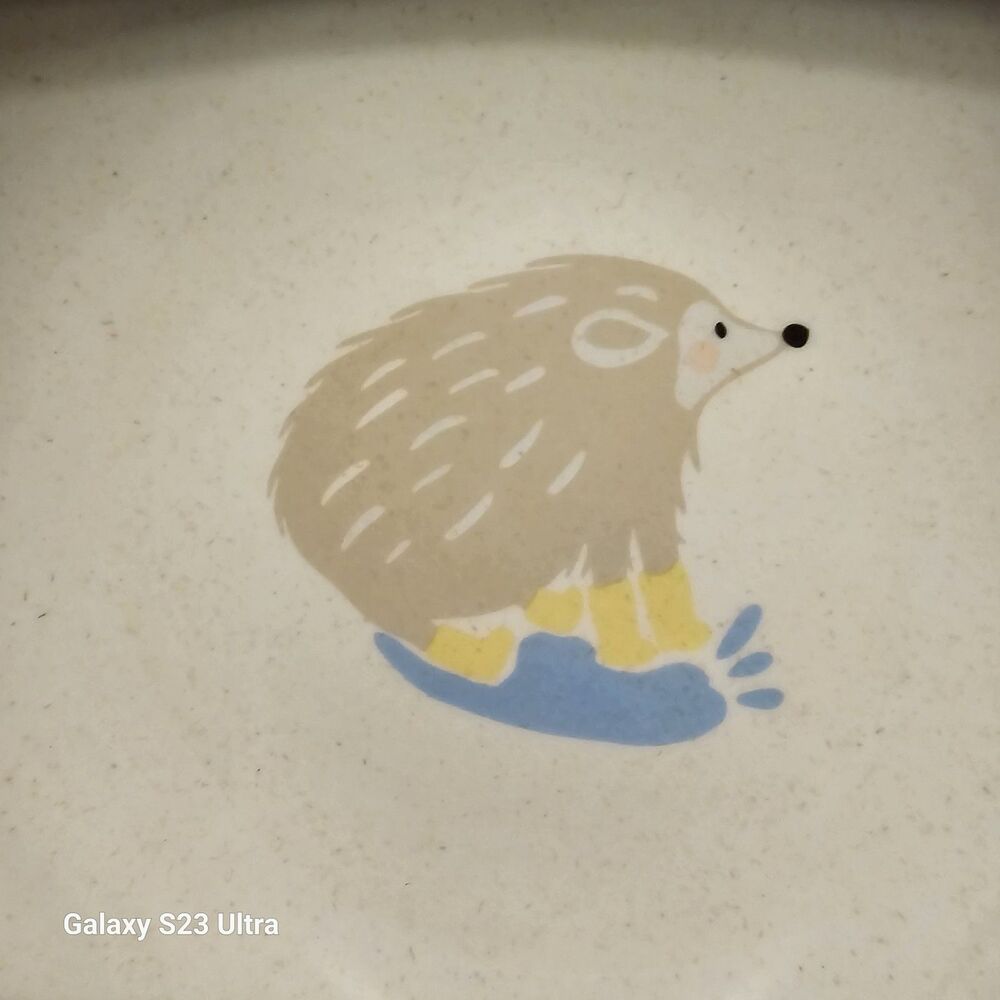 Pillowfort Dinner Melamine Porcupine Hedgehog NEW Set Of 4 Cereal Soup Bowls
